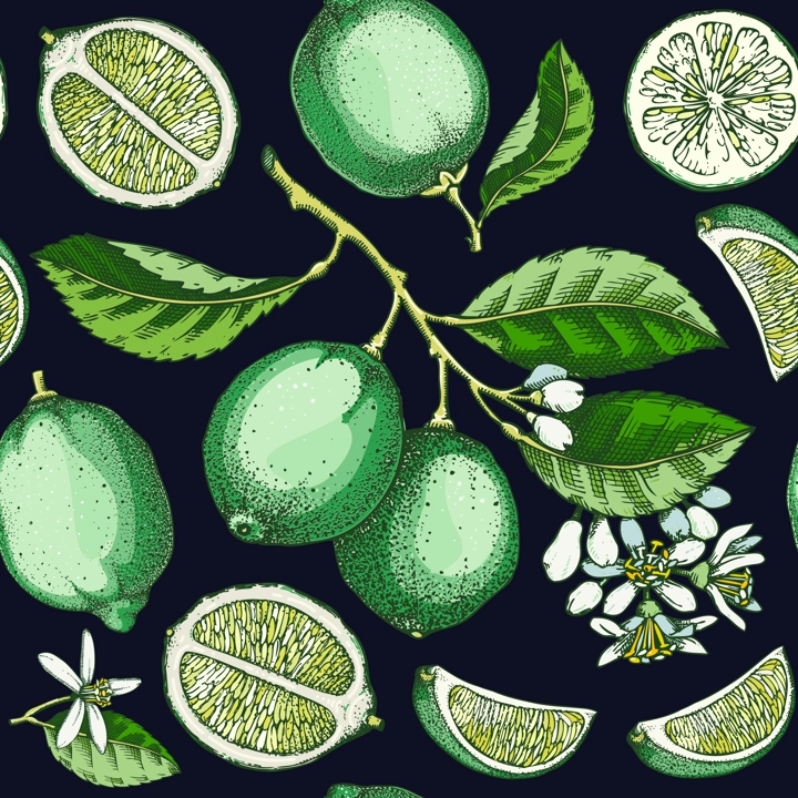 Exotic plants seamless pattern. Lime fruit and flowers sketches. Botanical background. Citrus fruit texture. Hand drawn vector illustration. NOT AI generated